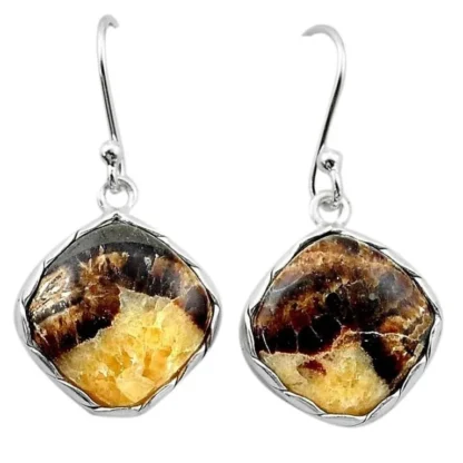 Natural Septarian Nodules Earrings