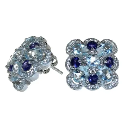 Natural 5.34 ct Aquamarine & Iolite Earrings - Image 2